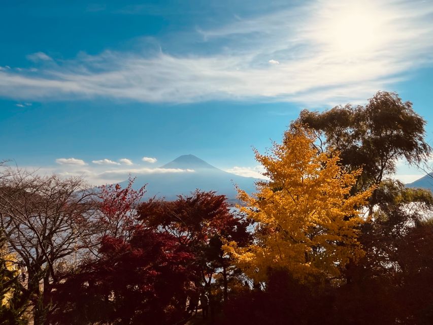 From Tokyo: Mt.Fuji, Tea Ceremony & Outlet Shopping Day Tour - The 400 steps to Arakurayama Sengen Park