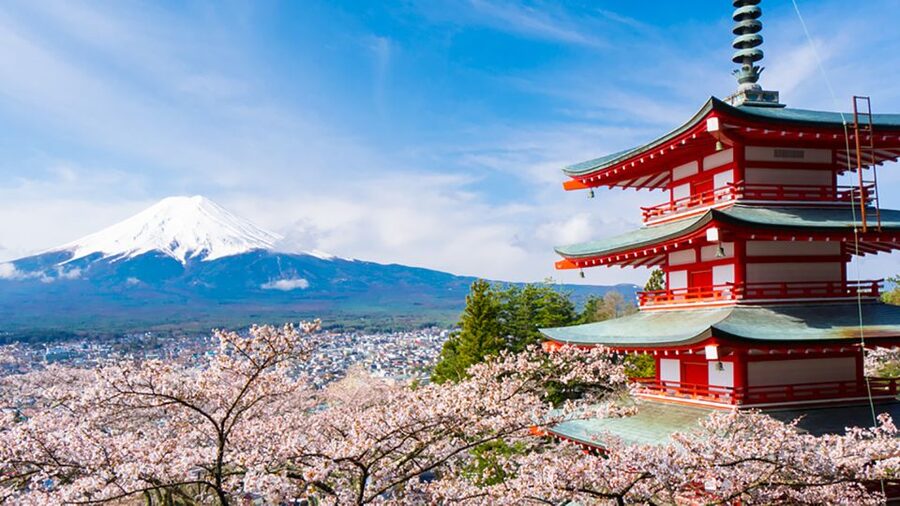 From Tokyo: Mt.Fuji, Tea Ceremony & Outlet Shopping Day Tour - How weather affects the day