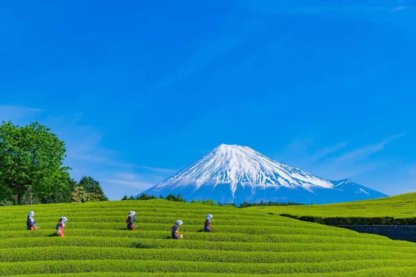 From Tokyo: Must-Visit Mount Fuji Highlight Full-Day Tour - Shiraito Waterfall and the route’s quiet side