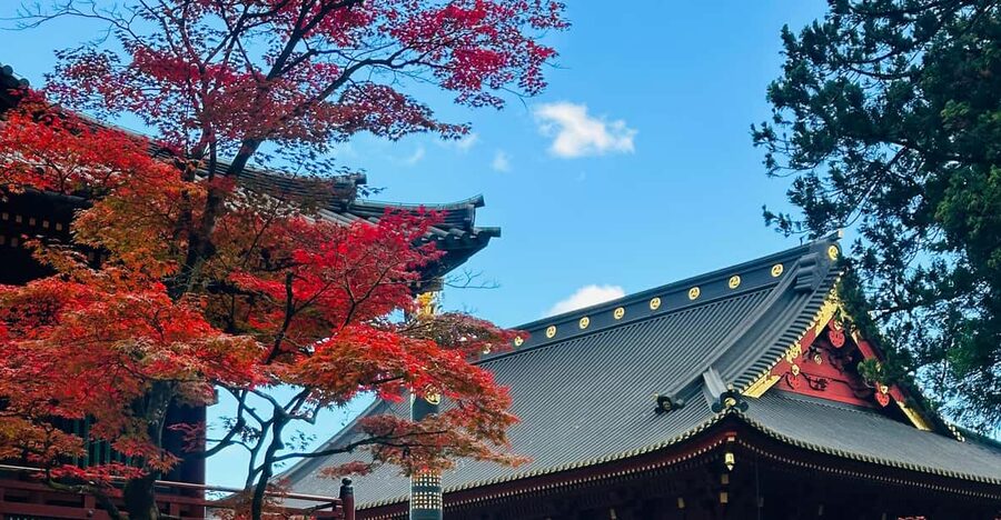 From Tokyo: Nikko Customize private Tour With English Driver - Rinnoji Temple and the Buddhist Side of Nikko