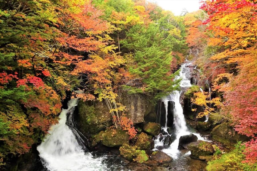 From Tokyo: Nikko World Heritage Site Private Full-Day Trip - Key points at a glance