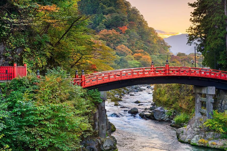 From Tokyo: Nikko World Heritage Site Private Full-Day Trip - Kegon Falls, Nikko’s essential natural sight