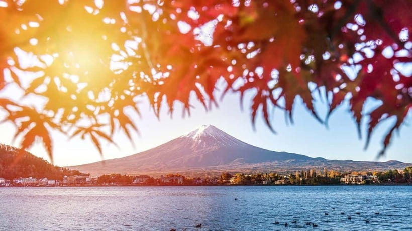 From Tokyo: Private Mt. Fuji and Hakone Tour by Car - Why a private car makes Mt. Fuji easier