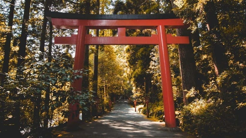 From Tokyo: Private Mt. Fuji and Hakone Tour by Car - The Open-Air Museum adds art to a nature-heavy day
