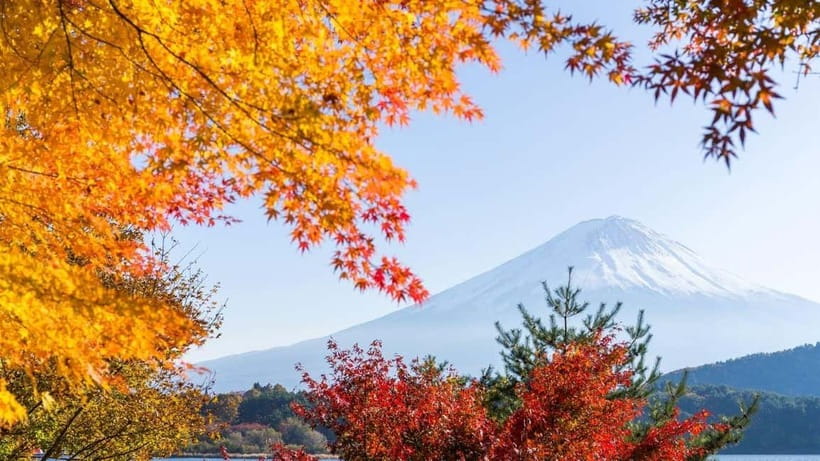 From Tokyo: Private Mt. Fuji and Hakone Tour by Car - Gotemba Outlets is best for a specific shopping goal