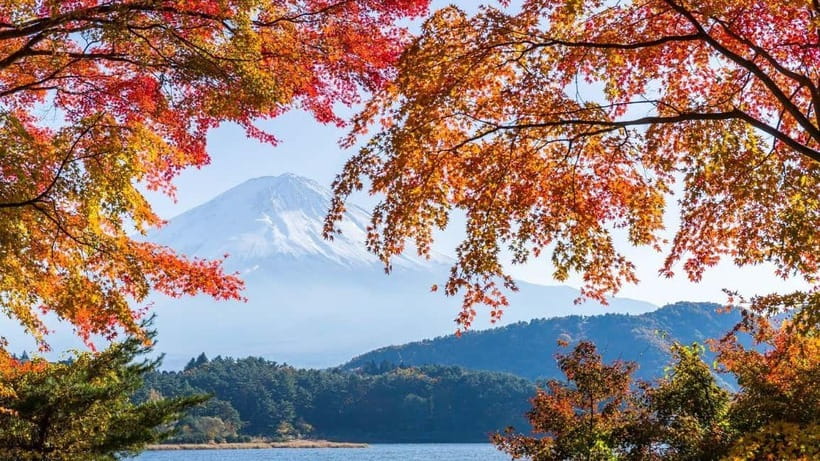 From Tokyo: Private Mt. Fuji and Hakone Tour by Car - Yamanakako gives you an early Fuji photo stop