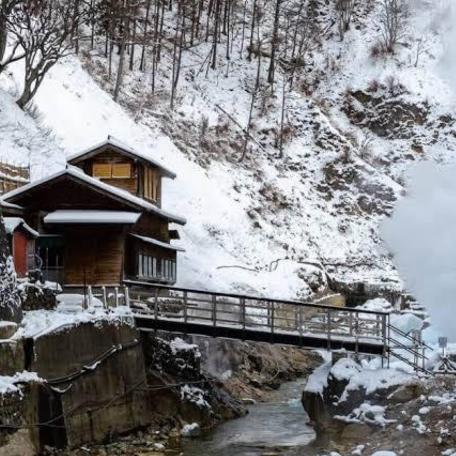 From Tokyo: Private Tour Snow Monkey Park & Zenko-ji Temple - Who should book this day?