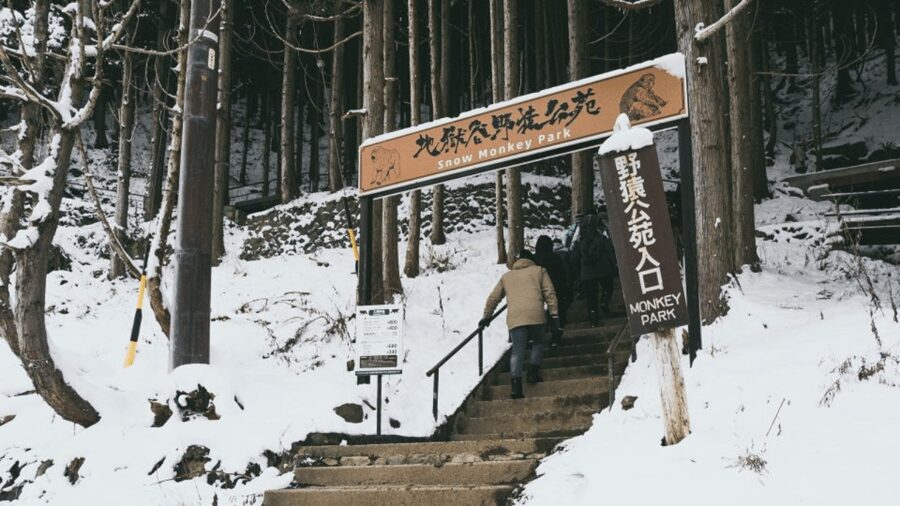 From Tokyo: Private Tour Snow Monkey Park & Zenko-ji Temple - Matsushiro Castle Ruins and a short history stop