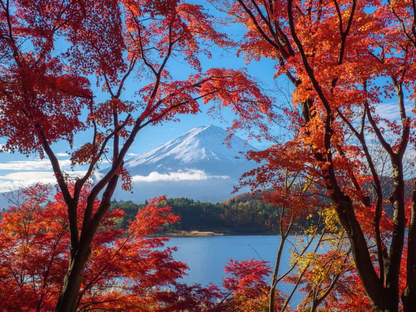 From Tokyo: Private Tour to Fuji/Hakone - Onsen, Art, Nature - The guide makes the private format worthwhile