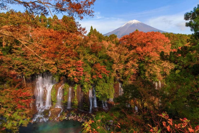 From Tokyo: Private Tour to Fuji/Hakone - Onsen, Art, Nature - Is $322 per person good value?