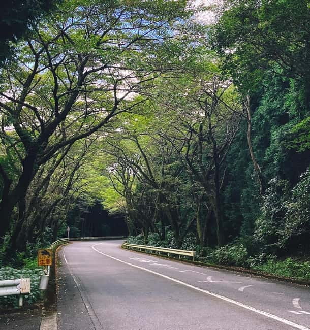 From Tokyo: Private Tour to Fuji/Hakone - Onsen, Art, Nature - Finding Mount Fuji beyond the postcard view