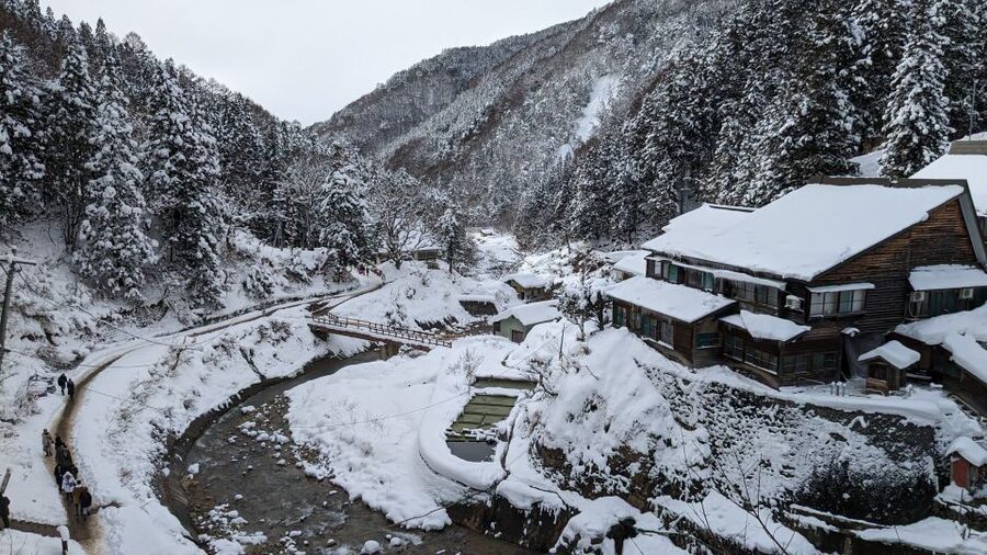 From Tokyo: Snow Monkey 1 Day Tour with Beef Sukiyaki Lunch - Practical details before you reserve