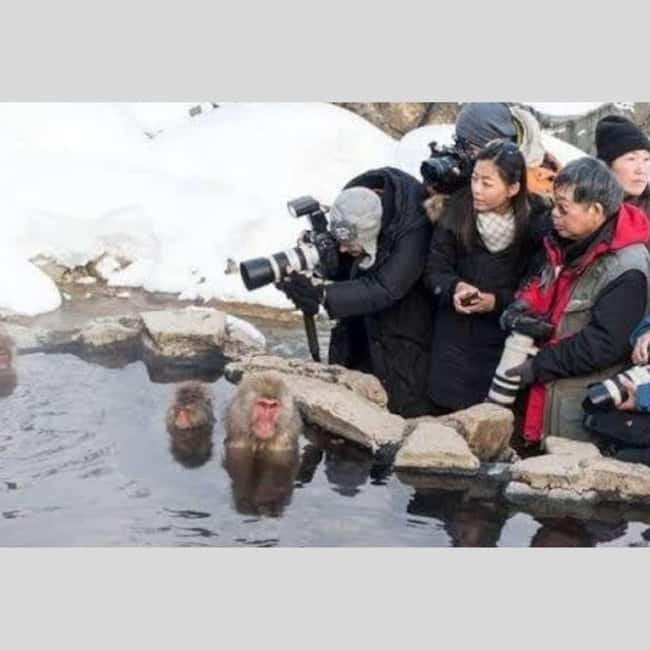 From Tokyo: Snow Monkey Park and Miso Production Day Tour - Matsushiro Castle Ruins and Nagano’s feudal past