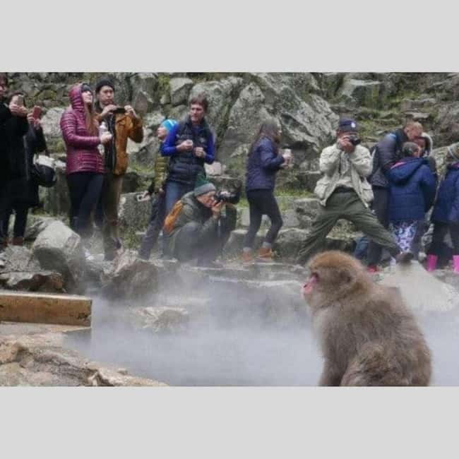 From Tokyo: Snow Monkey Park and Miso Production Day Tour - Shibu Onsen is a gentler finish