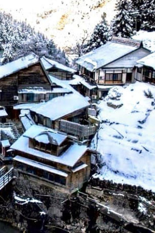 From Tokyo: Snow Monkey Private Customize Day Tour - Weather can change the shape of Nagano