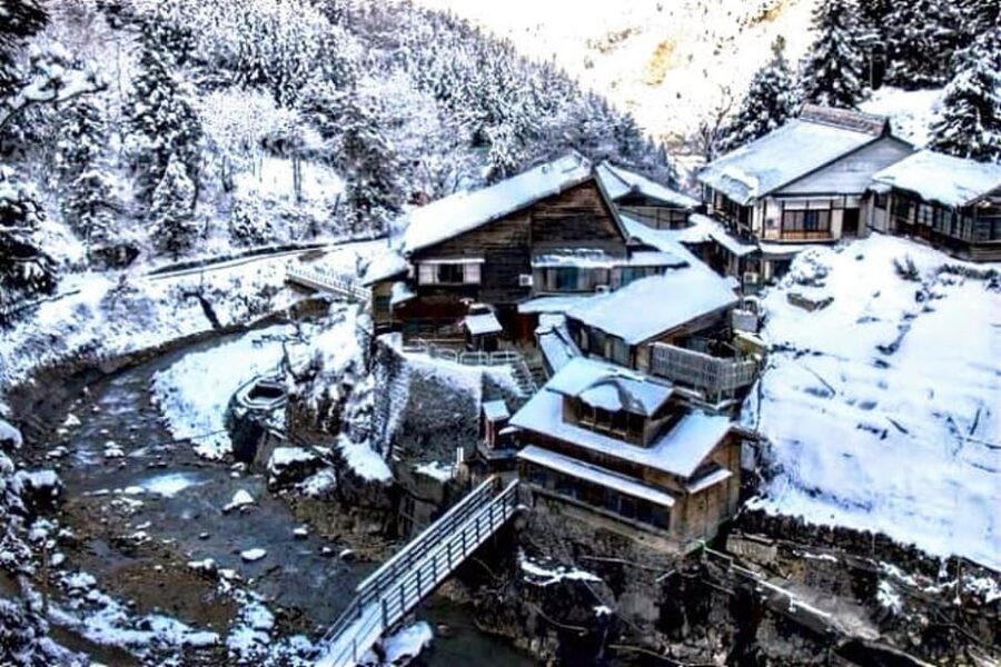 From Tokyo: Snow Monkey Private Customize Day Tour - Who should book this private day trip?
