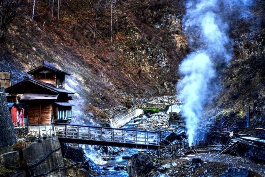 From Tokyo: Snow Monkey Private Customize Day Tour - Is $490 good value for your group?