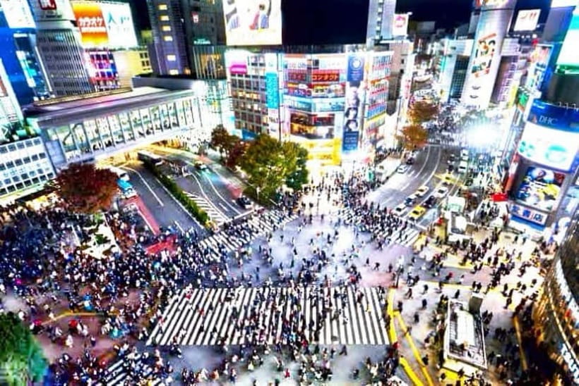 From Tokyo: Tokyo Private Customize Tour With English Driver - Why a Private Car Helps in Huge Tokyo