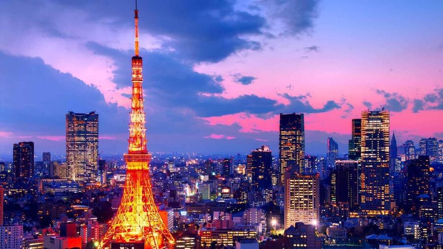 From Tokyo: Tokyo Private Customize Tour With English Driver - Senso-ji and the Traditional Side of Asakusa