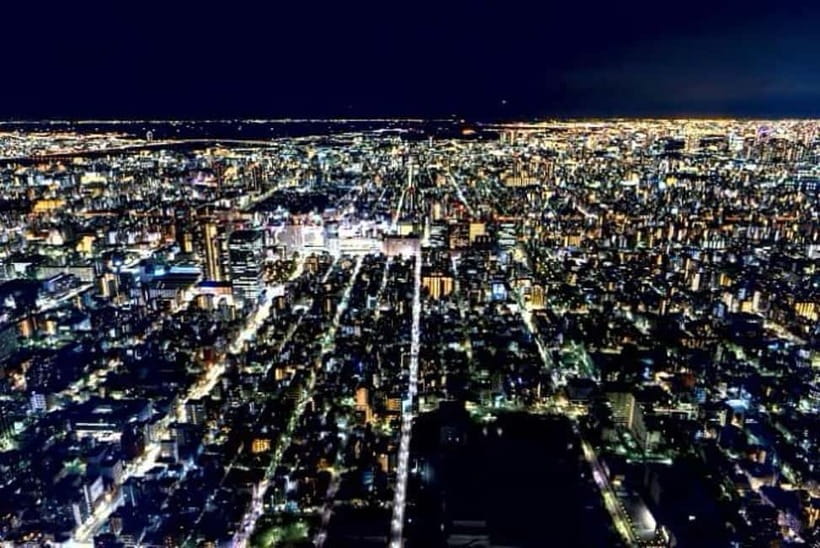 From Tokyo: Tokyo Private Customize Tour With English Driver - Shibuya Crossing, Tokyo’s Fastest Photo Stop