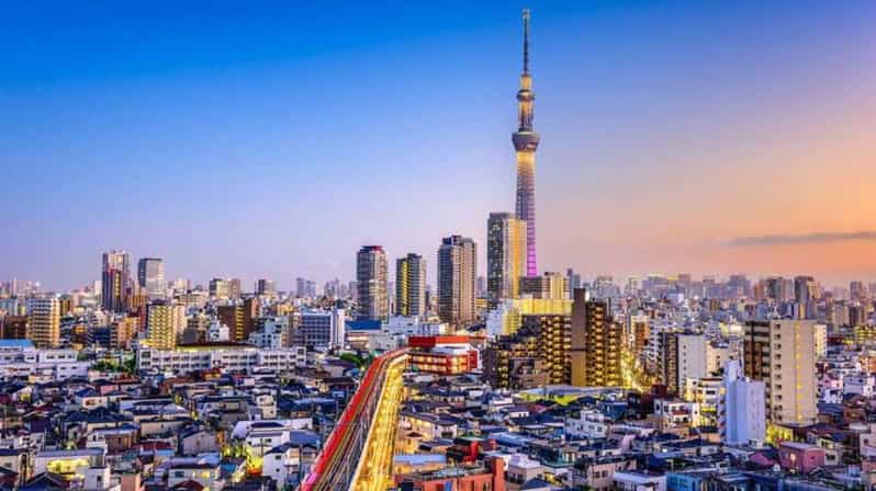 From Tokyo: Tokyo Private Customize Tour With English Driver - Meiji Shrine, Forest Paths, and Harajuku Style