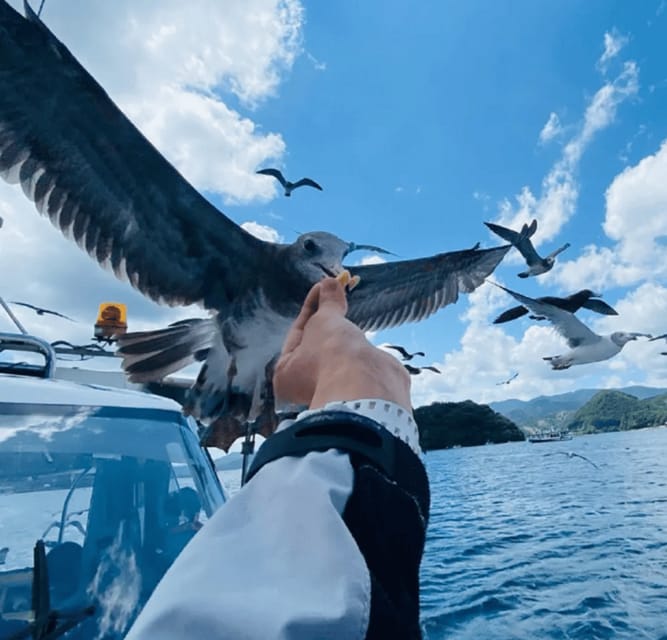 FromOsaka/Kyoto:Hiroshima & Miyajima Private Tour with Lunch - Why this Hiroshima and Miyajima pairing works