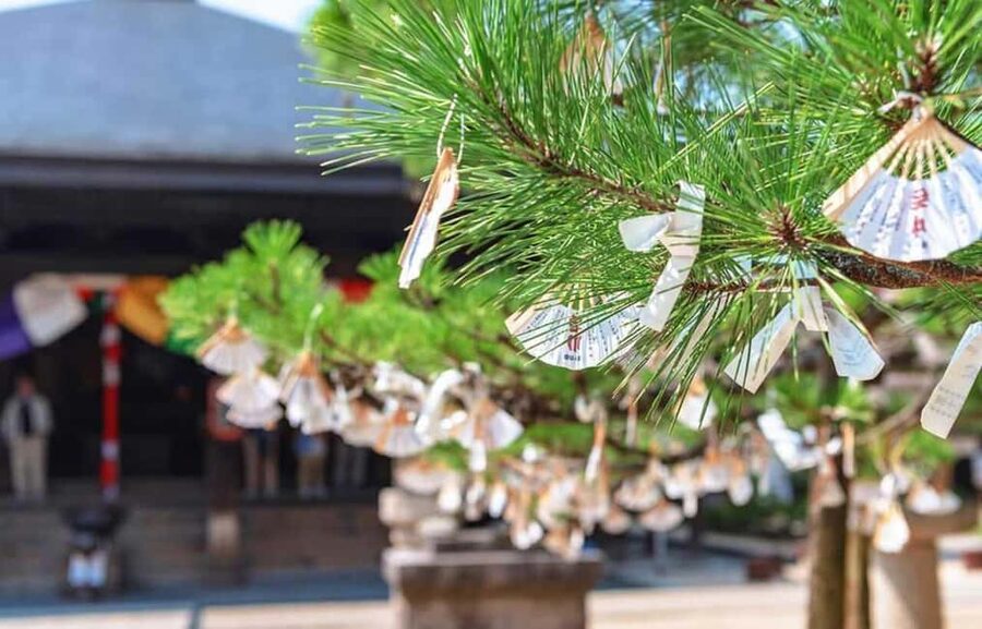 FromOsaka/Kyoto:Hiroshima & Miyajima Private Tour with Lunch - Lunch brings local flavor to a serious day