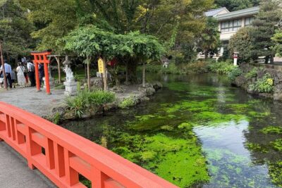 Fuji Highlights Group Car Tour by Shimizu Port with Local Guide