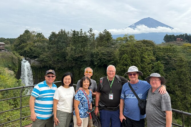 Fuji Highlights Group Car Tour by Shimizu Port with Local Guide - How the cruise timing affects your day