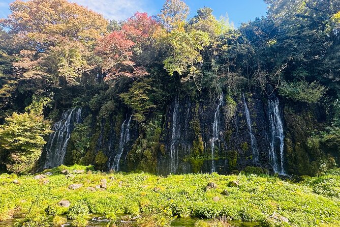 Fuji Highlights Group Car Tour by Shimizu Port with Local Guide - What the guide can change