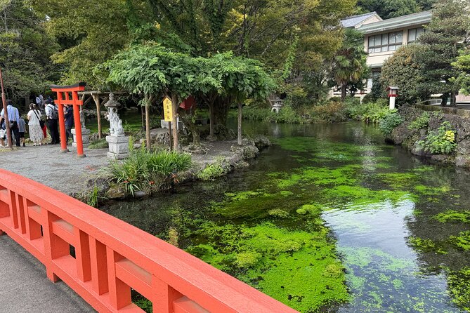 Fuji Highlights Group Car Tour by Shimizu Port with Local Guide - Lake Tanuki: your best chance for the postcard view