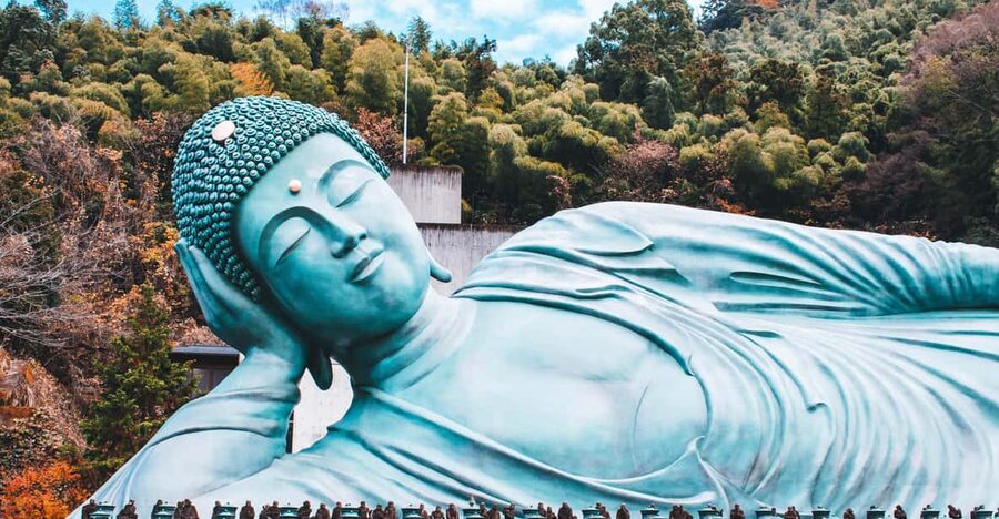 Fukuoka: Customized Tour with Local Guide - Quiet shrines after the city streets
