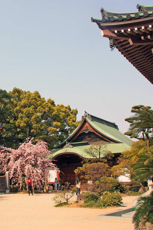 Fukuoka Essentials: History, Culture, & Charms - Shofukuji gives the tour a quiet beginning