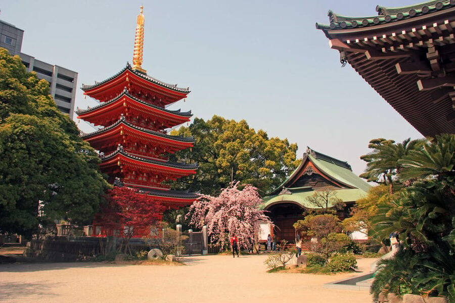 Fukuoka Essentials: History, Culture, & Charms - Hakata Station rooftop closes the loop