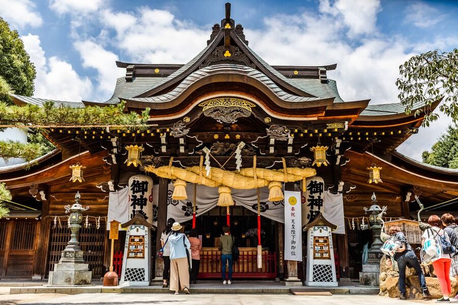 Fukuoka Private and Personalized Walking Tour with a Local - Ohori Park, Fukuoka Tower, and museums