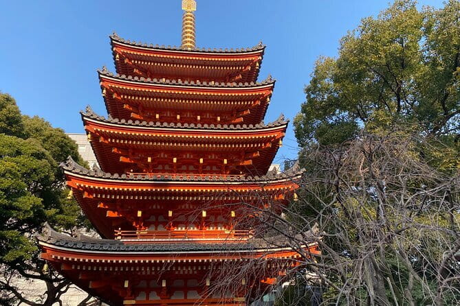 Fukuoka Takachiho Gorge, Amano Iwato and Scenic Train Tour - Who will enjoy this day trip most