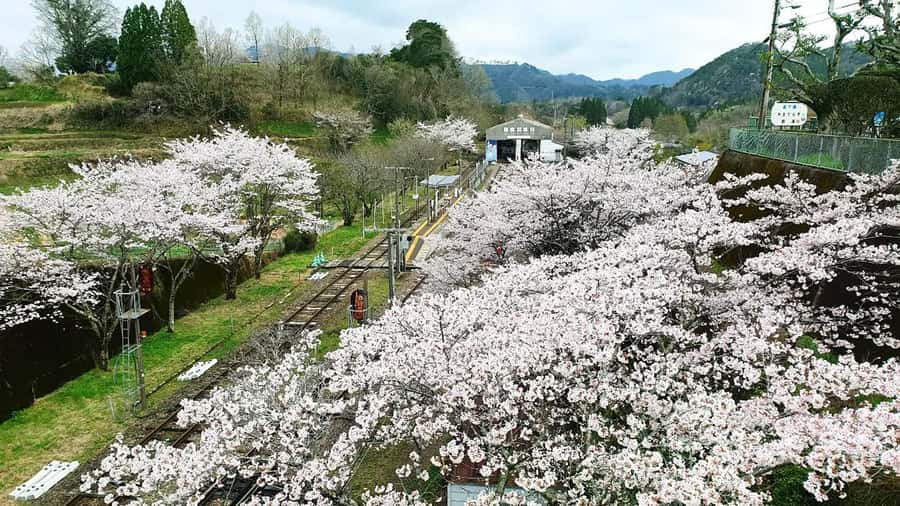 Fukuoka: Takachiho Gorge & Scenic Railway One Day Tour - Is the $44 price good value?
