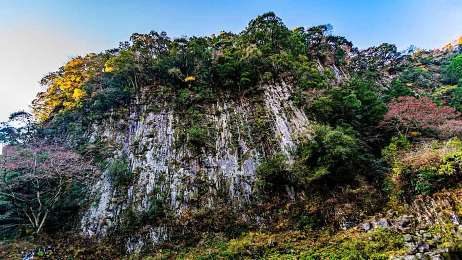 Fukuoka: Takachiho Gorge & Scenic Railway One Day Tour - Should you book the Takachiho tour?