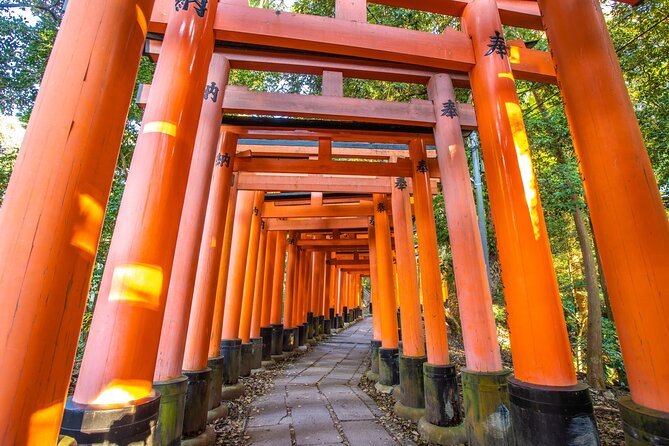 Full Day Guided Tour to Kyoto and Nara from Osaka by Van - A fast route from Osaka to Kyoto and Nara