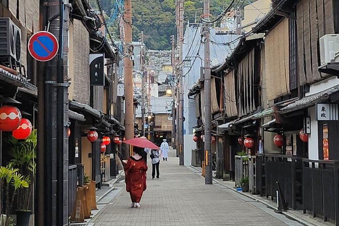 Full Day Guided Tour to Kyoto and Nara from Osaka by Van - Who will enjoy this day most