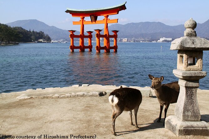 Full Day Hiroshima and Miyajima Bus Tour from Hiroshima - Is $152.54 a fair price?