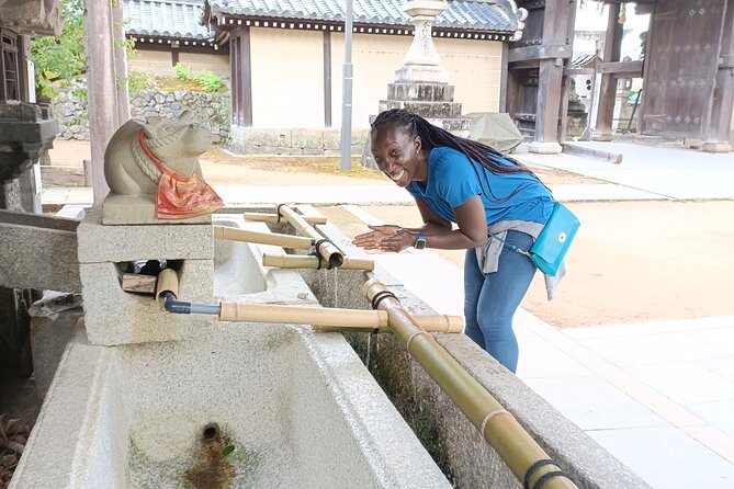 Full-Day Sightseeing to Kyoto Highlights - Why this Kyoto route works in one day