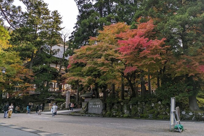 Full Day Tour Eiheiji Buddhist Temple and Fukui City Castle Town - What the guides add