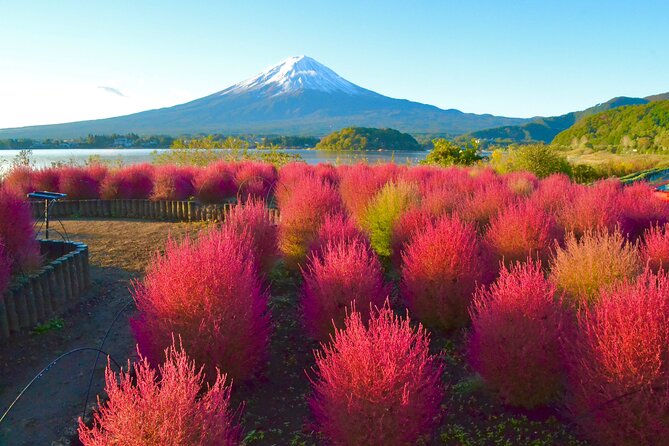 Full Day Tour to Mount Fuji in Spanish - Chureito Pagoda, the classic Fuji photograph
