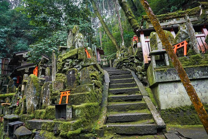 Fushimi Inari Hidden Hiking Tour (Private Option Available) - What the three-hour pace feels like