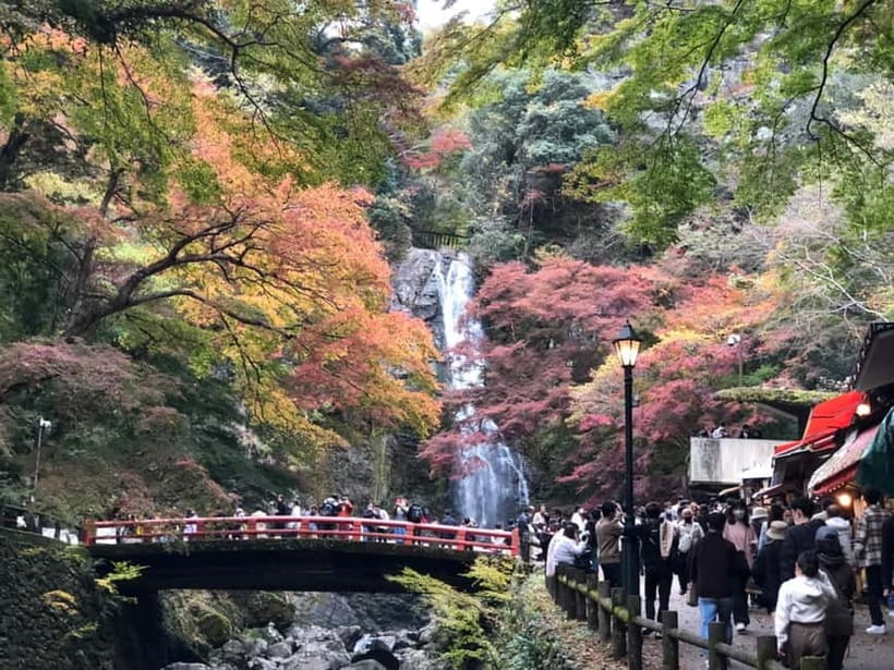 Get to know Minoo from Osaka. Katsuoji Temple, Ryuanji Waterfall and Ryuanji Temple - Key points at a glance