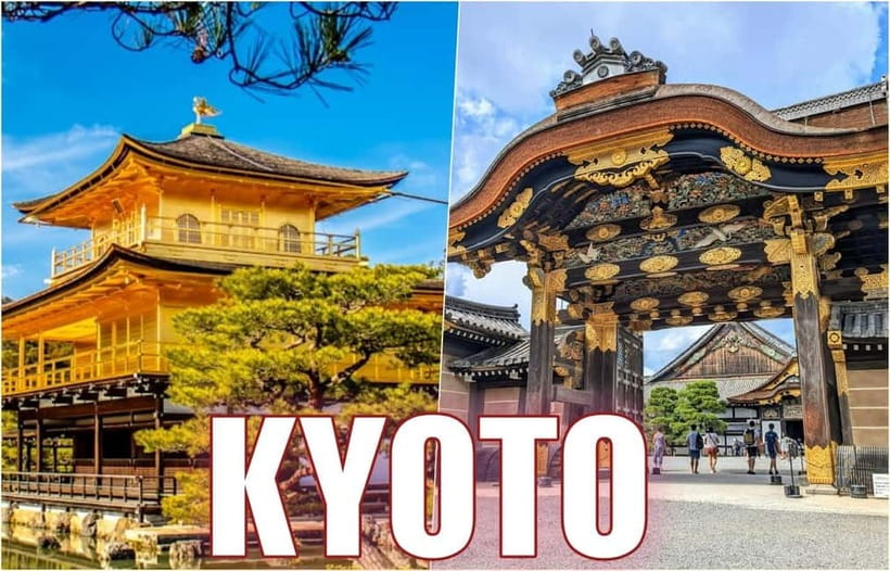 Golden Pavilion, Nijo Castle, & Nishiki Market Half day tour - Key points at a glance