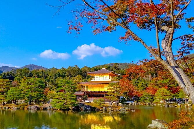 Guided Kyoto City Cherry Blossom One Day Private Tour - Gion, where old Kyoto still shows through