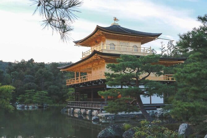 Guided Kyoto City Cherry Blossom One Day Private Tour - Arashiyama’s bamboo, beautiful but busy