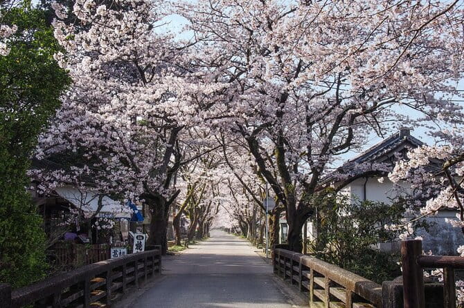 Hakata Old Town Walking Tour Tracing the True History of Fukuoka - Tochoji Temple and the Fukuoka Daibutsu